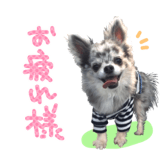 [LINEスタンプ] ルイスタンプ