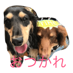 [LINEスタンプ] ダックス兄弟