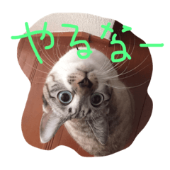 [LINEスタンプ] セブンといっしょ②