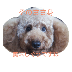 [LINEスタンプ] レインくん(夏ver)