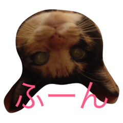 [LINEスタンプ] もんちゃん01
