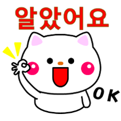 [LINEスタンプ] 白ネコからのメッセージ(韓国語)の画像（メイン）
