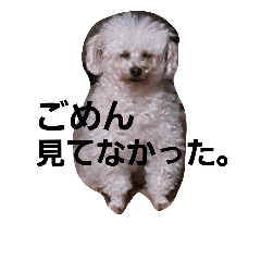 [LINEスタンプ] ちーまごず2