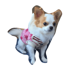 [LINEスタンプ] いしまつくん