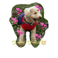 [LINEスタンプ] ハッピー スマイル2