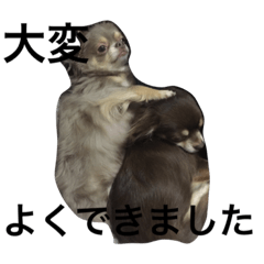 [LINEスタンプ] ロイと麦 Part1