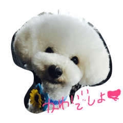 [LINEスタンプ] 青木龍眼