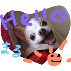 [LINEスタンプ] まるちゃんパート1