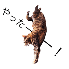 [LINEスタンプ] ベルさんスタンプ