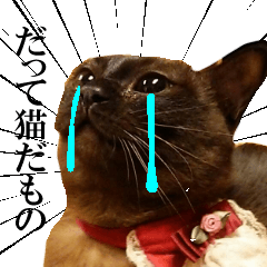 [LINEスタンプ] 黒猫さんと白猫さん