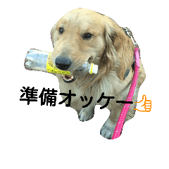 [LINEスタンプ] 銀平と大和