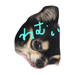 [LINEスタンプ] スイーツのつぶやき