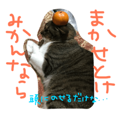 [LINEスタンプ] 姉御家のモカ様