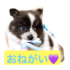 [LINEスタンプ] ションben芸者