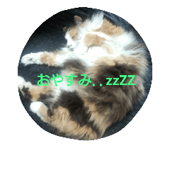 [LINEスタンプ] かわいい家族