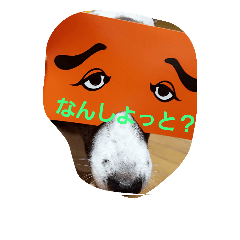 [LINEスタンプ] ぶち犬コロちゃん