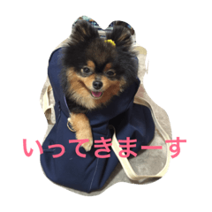 [LINEスタンプ] 大好きいちび