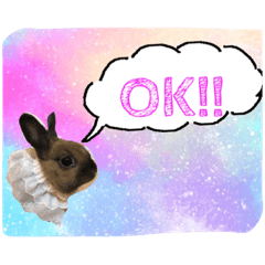 [LINEスタンプ] ラパンフレンズ