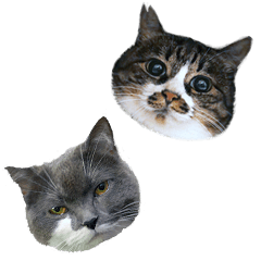 [LINEスタンプ] ふうたびスタンプ