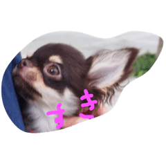 [LINEスタンプ] まろんまろまろ