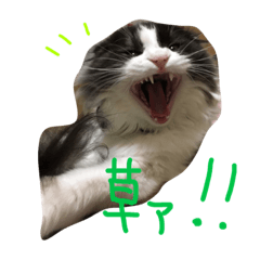 [LINEスタンプ] いなり