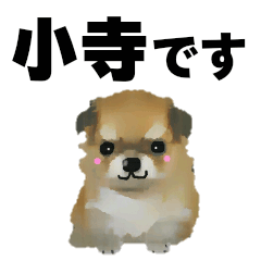 [LINEスタンプ] 小寺さん用の名前スタンプ・子犬イラストの画像（メイン）