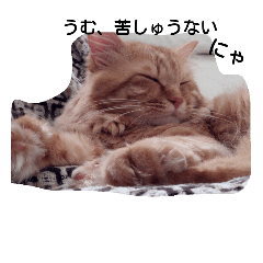 [LINEスタンプ] みーくんの日々