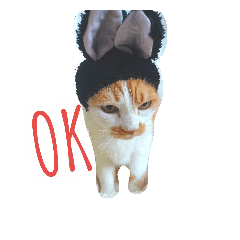 [LINEスタンプ] 愛猫's