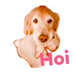[LINEスタンプ] Comet.1023