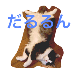 [LINEスタンプ] だるだるな3にゃん