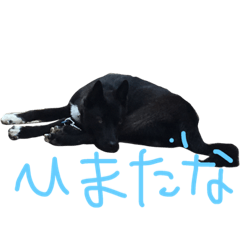 [LINEスタンプ] 心大郎スタイル