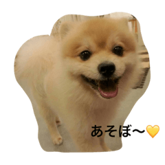 [LINEスタンプ] モカとノア