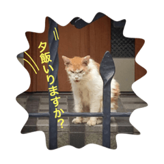 [LINEスタンプ] モップネコのスタンプ
