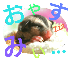 [LINEスタンプ] フクモモの日常で使えるスタンプ