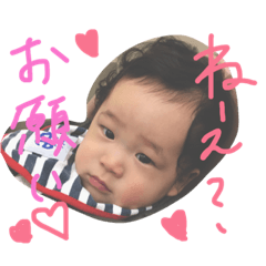 [LINEスタンプ] ha-toスタンプ