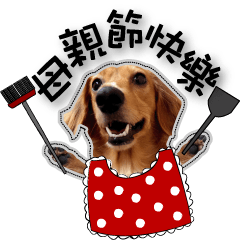 [LINEスタンプ] Dachshund GaGa part7(festival)