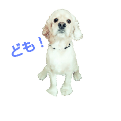 [LINEスタンプ] バーボン♪)))