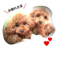 [LINEスタンプ] チャイ＆ミュー
