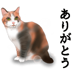[LINEスタンプ] ちーちゃんですがなにか？