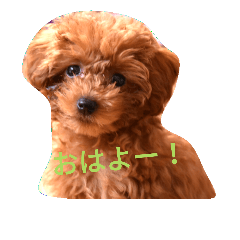 [LINEスタンプ] プー＆マル。