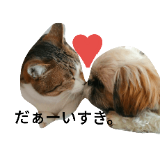 [LINEスタンプ] うちのシーズーたち