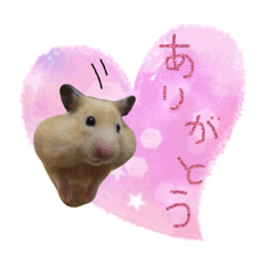 [LINEスタンプ] ハムスターの御挨拶