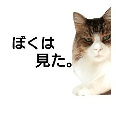 [LINEスタンプ] ぼたまるとちょびすけ
