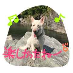 [LINEスタンプ] どたばたシェパ日記Ⅲ