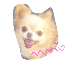 [LINEスタンプ] ひめの顔
