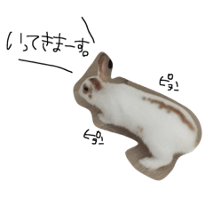 [LINEスタンプ] うさぎの琥珀