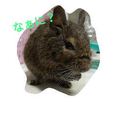 [LINEスタンプ] デグーのネズー