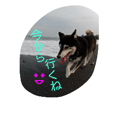 [LINEスタンプ] バロンとサリー