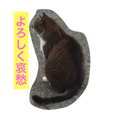 [LINEスタンプ] 港町のまる その1