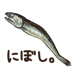 [LINEスタンプ] 生きているようで死んでいるにぼし。